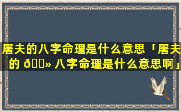 屠夫的八字命理是什么意思「屠夫的 🌻 八字命理是什么意思啊」